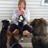 Animal lover willing to care for your pets