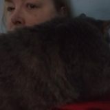 I am a lifelong animal lover. cat Mommy cat and dog grandma And an animal shelter volunteer