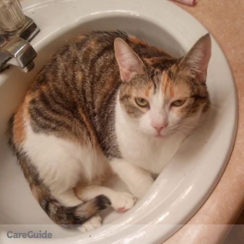 Pet Care Job Anna B's Profile Picture