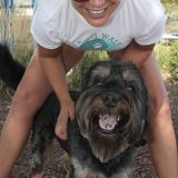 Awesome Pet Sitter Needed in Weehawken, NJ