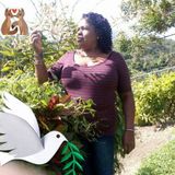 My name is Pamela,and am offering housekeping job-am very keen when it comes to cleaning a house/rooms