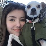 Energetic and enthusiastic student looking for work in pet care in North York, Ontario