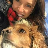 Qualified House and Plant Sitter