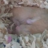 Flexible,Fun Loving And Cuddly!