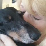 Experienced, Compassionate, Specialized Care, Training..............