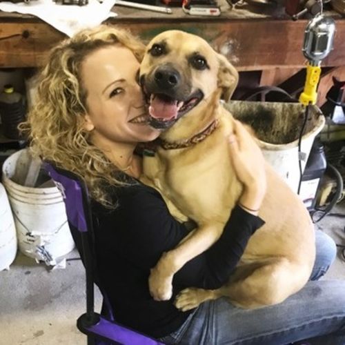 Hardworking and loving pet sitter needed this month! Pet Sitter Job