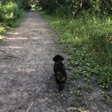 Searching for a Pet Care Provider Job in Maple Grove