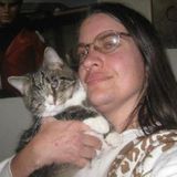 For Hire: Experienced Cat Sitter in Mebane, North Carolina