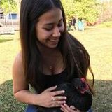 Hello, my name is Vianey. I am currently looking for a pet sitting job. I love animals. I own 3 dogs of my own.