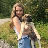 Experienced and reliable pet sitter offered in Waterloo