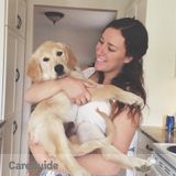 Pet Sitter/ Dog Walker