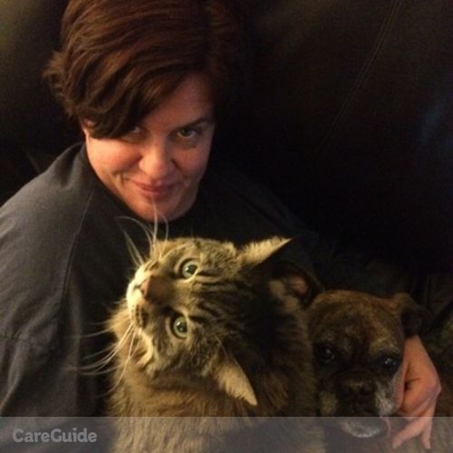 Pet Care Provider Karen McMillon's Profile Picture