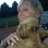 Available: Skillful Pet services for small dogs in South Loop Chicago, IL