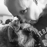 The Traveling House/Pet Sitter