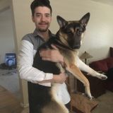 Consistent Dog Sitter avaliable in San Ramon