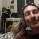 Available For a Dog Sitting Professional Opportunity in Brandon my services include, Dog walking ,feeding,kennel cleaning +