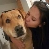 Available: Skilled Petsitter in Crestview, Florida