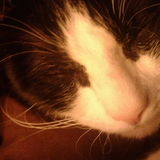 Pet Lover here and ready to meet some new furry friends!
