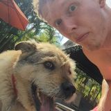 Dog Walking/Pet Sitting Offered in Leesburg.