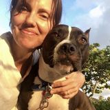 Skilled Dog Walker and Pet/Home Sitter