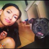 Dog Walker/Runner/Sitter, Best Rates!
