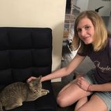 Pet sitter with the best "catitude" around (I love dogs too!)