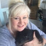 Careful Dog Sitting Professional in Orange Beach