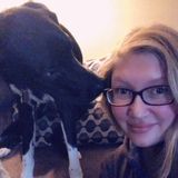 Dog walking, boarding, visits
