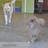 Stay! Doggie Daycare and Boarding Seattle's premier Daycare with Large Indoor & Outdoor Play Areas