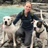Overnight Dog Care and Walking Available