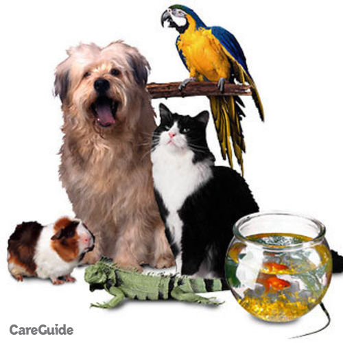Pet Care Provider John S's Profile Picture