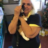 Hard Working Pet Sitting Available Now!