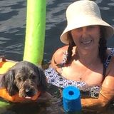 Dog sitter & walker