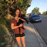 Available: Dog Walking and Small Animal Pet Sitting