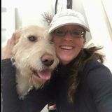 We are family business run by people who truly love dogs!