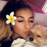 Looking For Lake Worth Pet Sitter, Florida Jobs