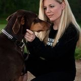 Burlington Dog Trainer & Behaviourist offering inhome Training, Walking & Pet Care