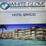professional Maid/Janitorial Service
