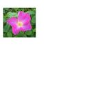 Interested in providing private home care to seniors in Central Arkansas.