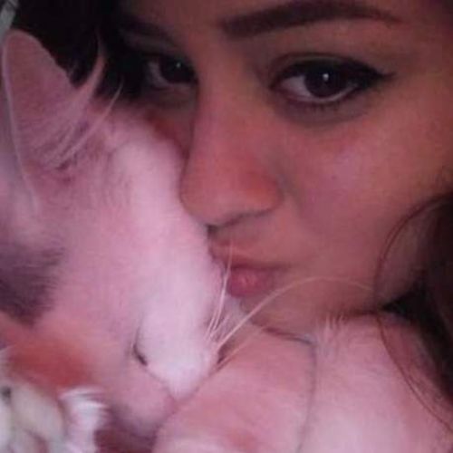 House Sitter Provider Justice Trevino's Profile Picture