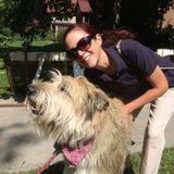 Most Trustworthy House and Petsitter in Grosse Pointe