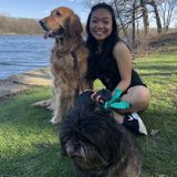Naperville Animal Caregiver Available