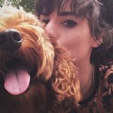Love is a four legged word