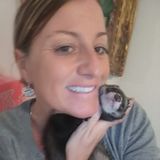 Seeking a Pet Supervisor Job in Fort Pierce, Florida