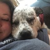 Seeking Concord Pet Supervisor, North Carolina Jobs