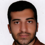 I am a young, energetic boy with AZ driver's license with clean record, punctual, polite, customer-oriented and reliable