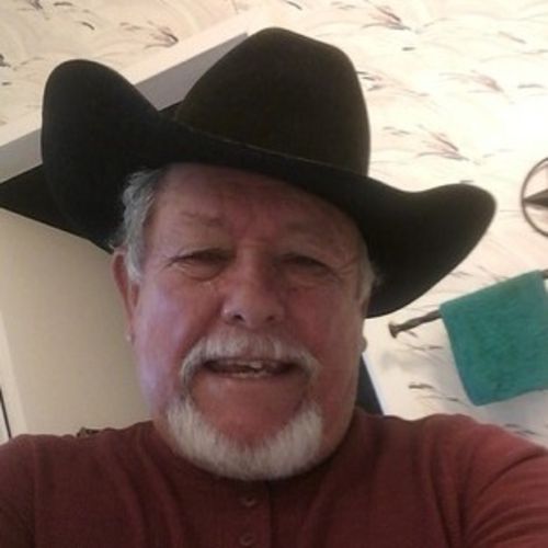 House Sitter Provider George P's Profile Picture