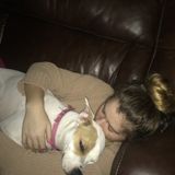 Present Animal Lover for Hire