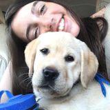 Queensbury Petsitter Interviewing for Part-Time Pet Care Employment