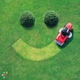 Scotts Lawn Service....No Contracts
